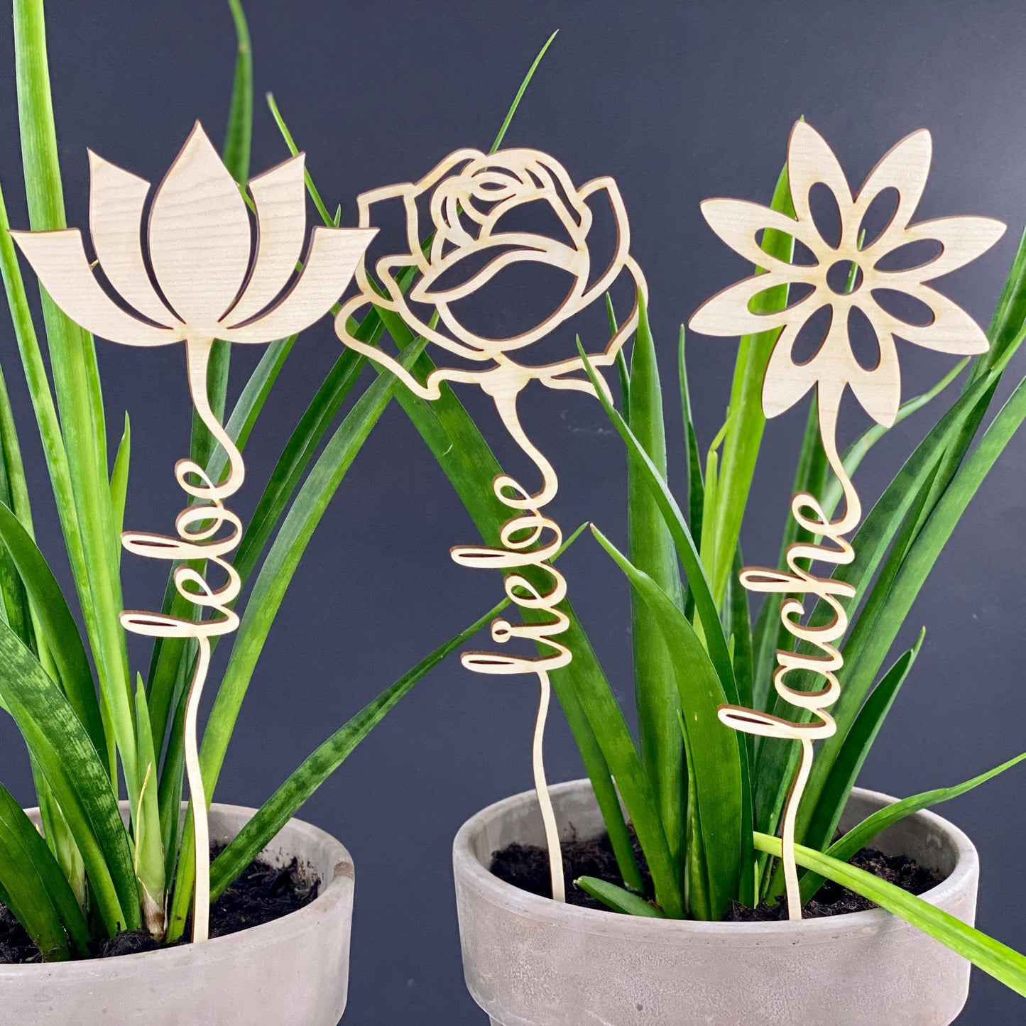 Blumentopper Lebe Liebe Lache