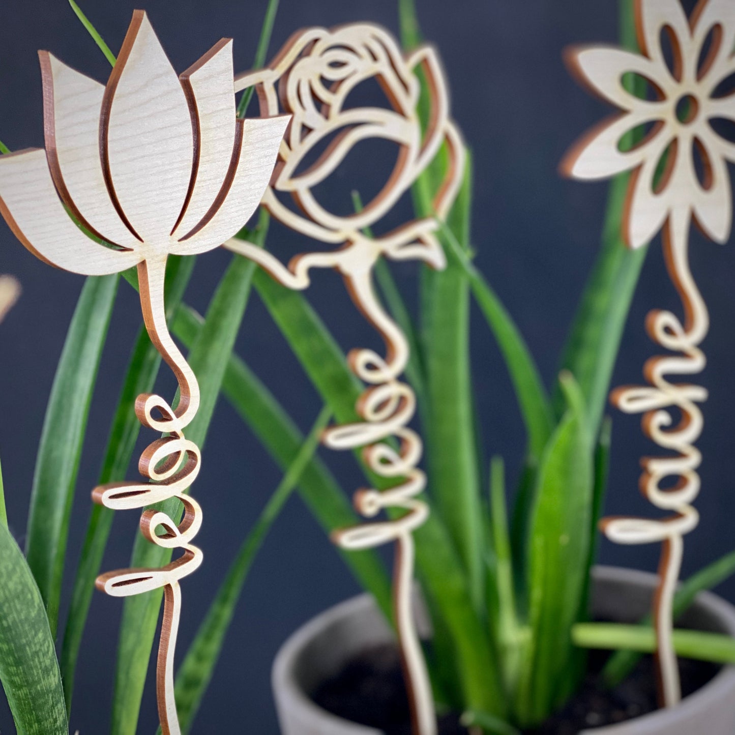 Blumentopper Lebe Liebe Lache